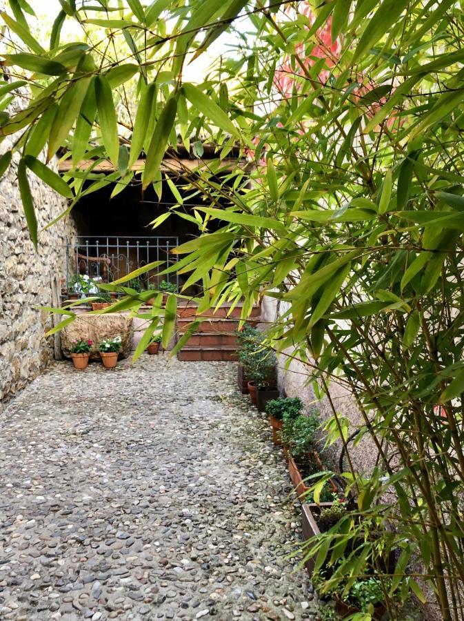 La Posada De Lola El Molar Eksteriør bilde
